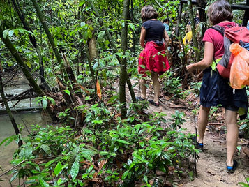 Leave the boat and begin the jungle trek.