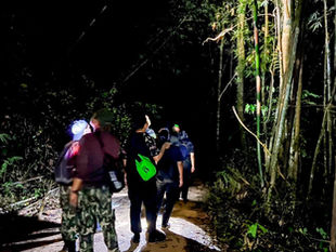 Khao Sok Night Safari - This nocturnal journey into the deep, dark jungles of Khao Sok