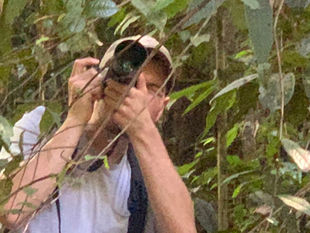 Take another look : Khao Sok Travel