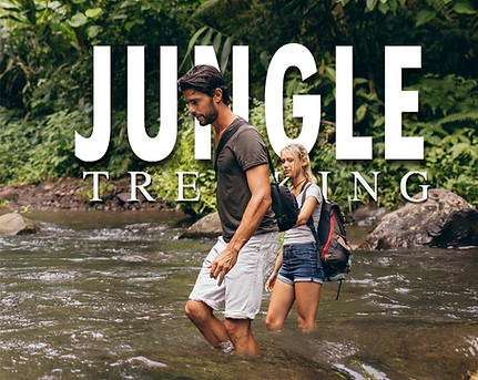 Travelers crossing a rainforest river during a jungle trekking adventure in Khao Sok National Park
