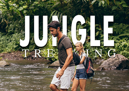 Travelers crossing a rainforest river during a jungle trekking adventure in Khao Sok National Park