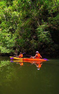 Krabi Kayak