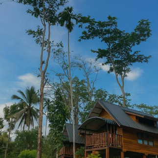 Rooms at Nalintara Resort – Cozy Wooden Bungalows in Khao Sok