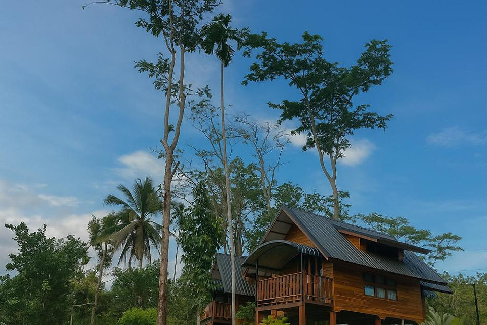 Rooms at Nalintara Resort – Cozy Wooden Bungalows in Khao Sok