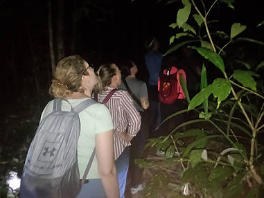 Khao Sok Package & Lake Daytrip