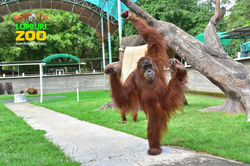 สวนสัตว์ลพบุรี