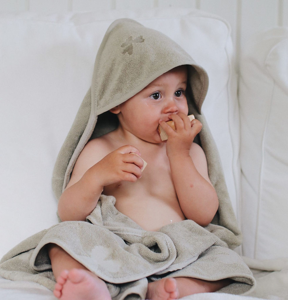 Miniature : Hooded Towel Eucalyptus Clover