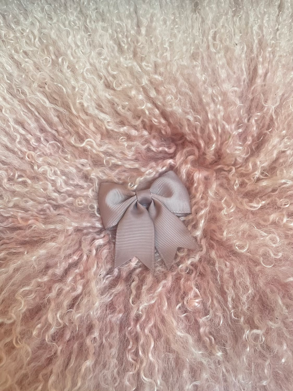 Grosgrain Taupe with Tails