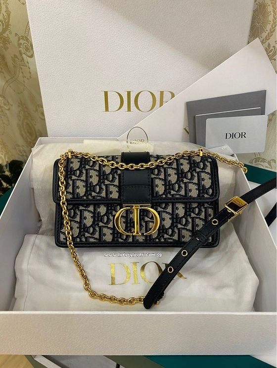LNIB Dior Montaigne 30 East West Bag with Chain Blue Oblique
