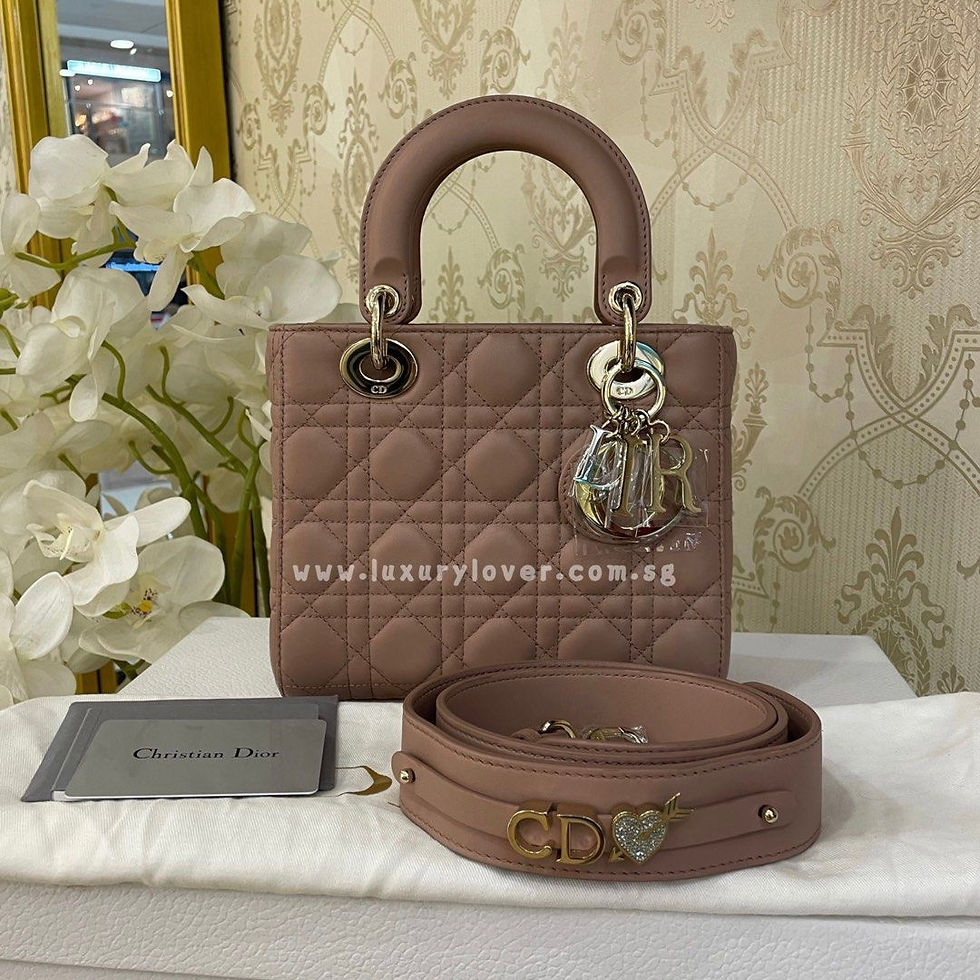 BNIB Dior Lady Dior Small My ABCDior Blush / Fard Lamb light GHW 