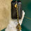 Thumbnail: BNIB Chanel 22S Pearl Crush Camera Sling Bag Black Lamb GHW