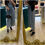 Thumbnail: BNIB Celine Mini Camera Shoulder Bag Triomphe Canvas and Calf Tan