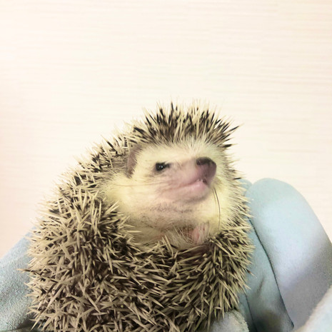 けんじ.jpeg