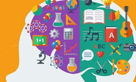 Conexión entre cerebro y aprendizaje 