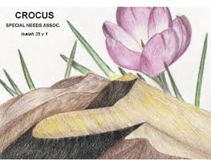 crocus_resized.png