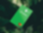 1. Wilding credit card.png