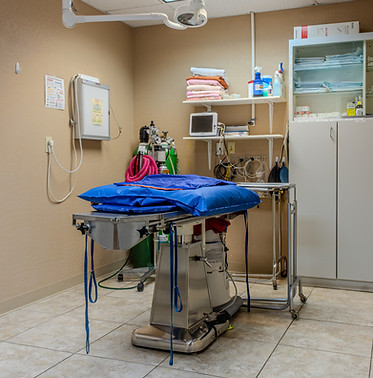 Surgery Suite.jpg