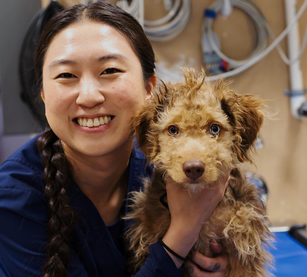 Rebekah and Puppy.jpg