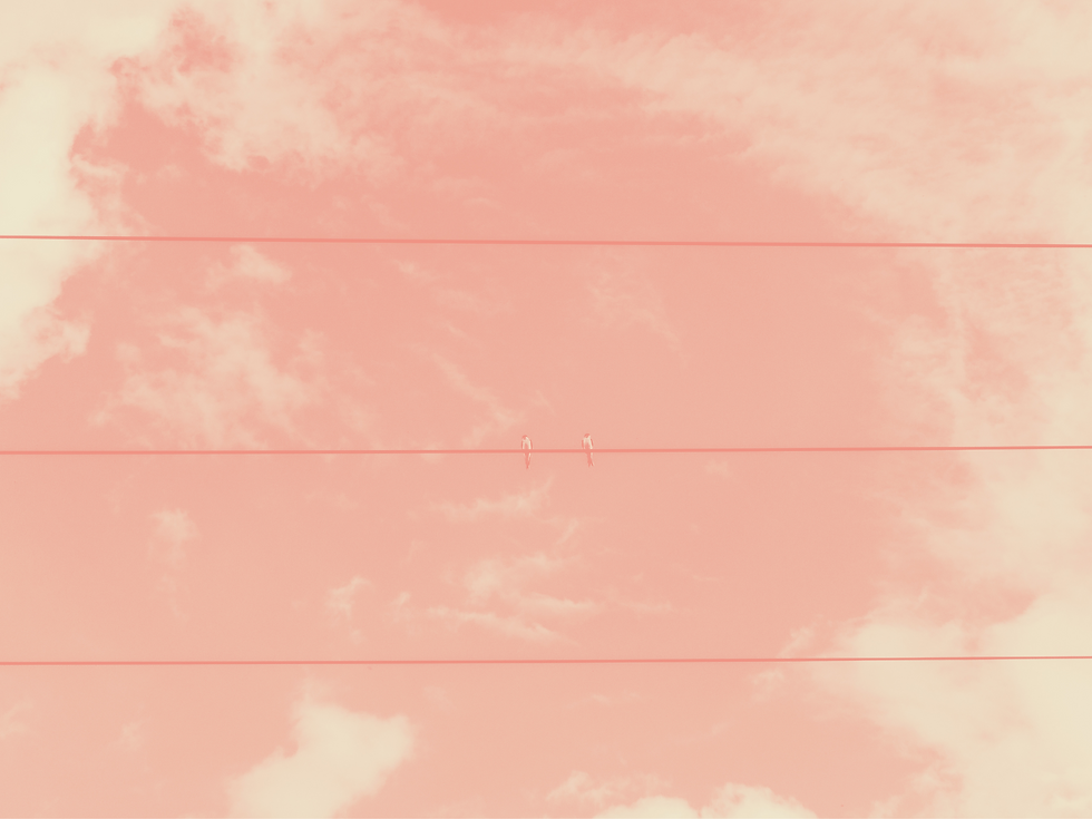 pooo.png