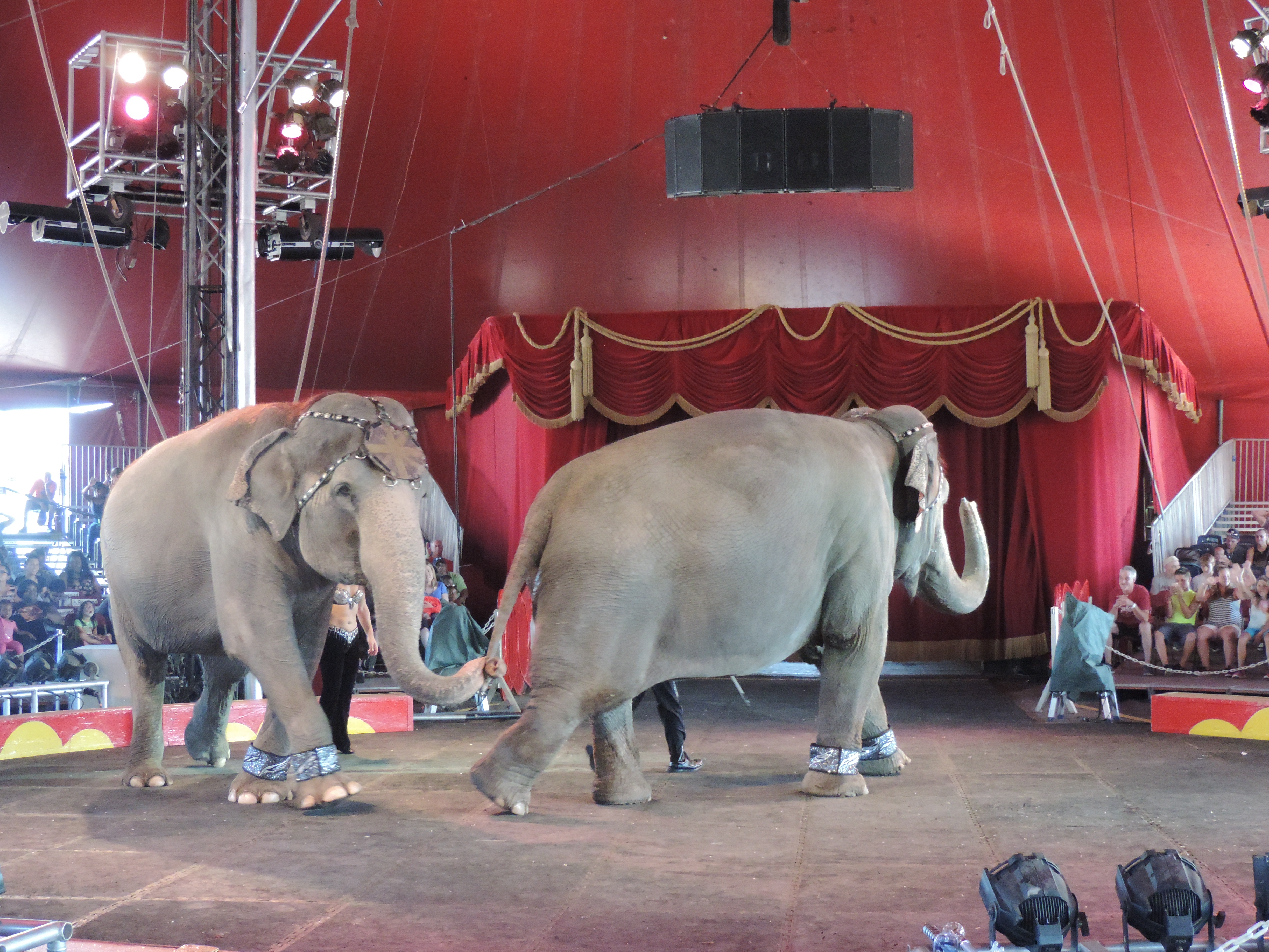 Fort Worth Moslah Shrine Circus - rwsq814