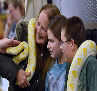 reptiles.jpg
