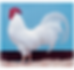 Leghorn 3.png
