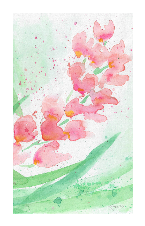 Thumbnail: Pink Orchids