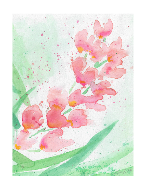 Thumbnail: Pink Orchids