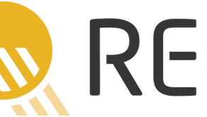 REC Solar Panels: Review