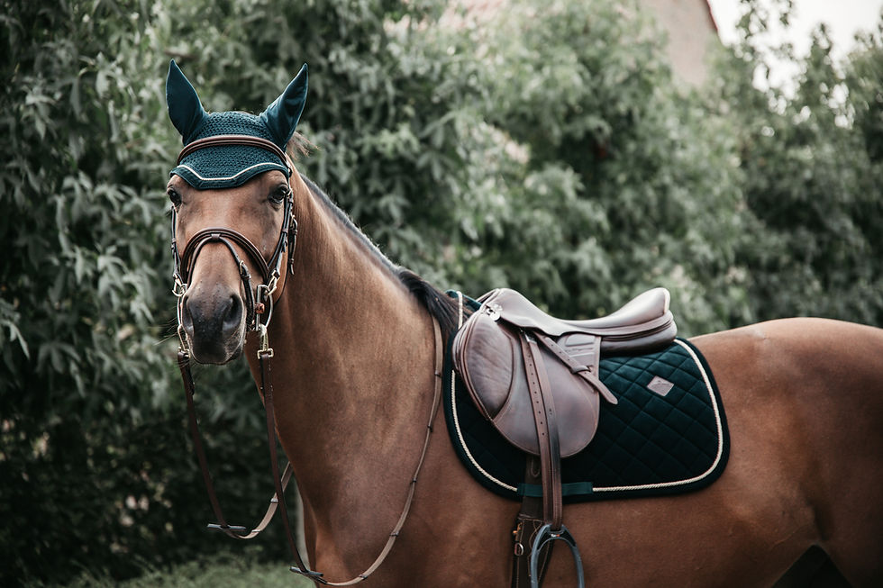 Thumbnail: Kentucky Horsewear Corduroy Saddle Pad