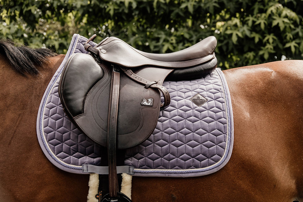 Thumbnail: Kentucky Horsewear Velvet Saddle Pad
