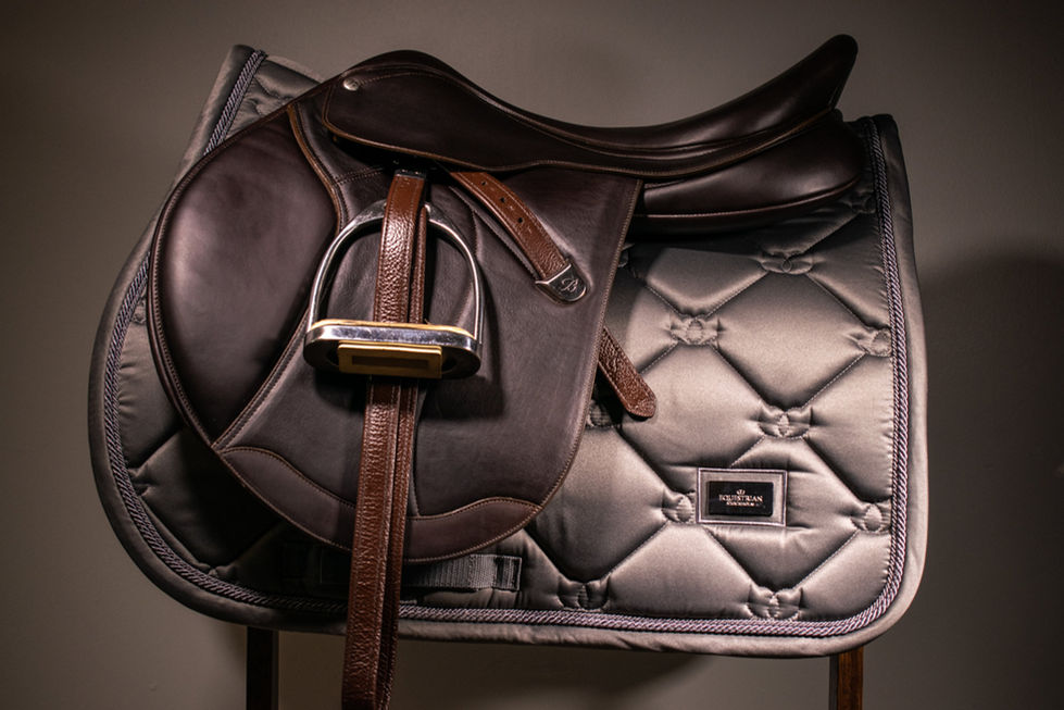 Authorised Official Stockists
horsetackuk.com