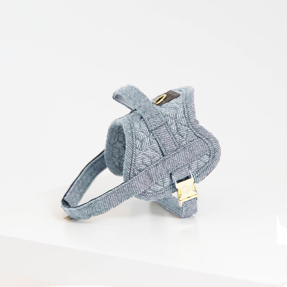 Thumbnail: Kentucky Dogwear Dog Harness Body Safe