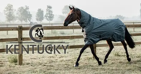 Authorised Official Stockists
horsetackuk.com