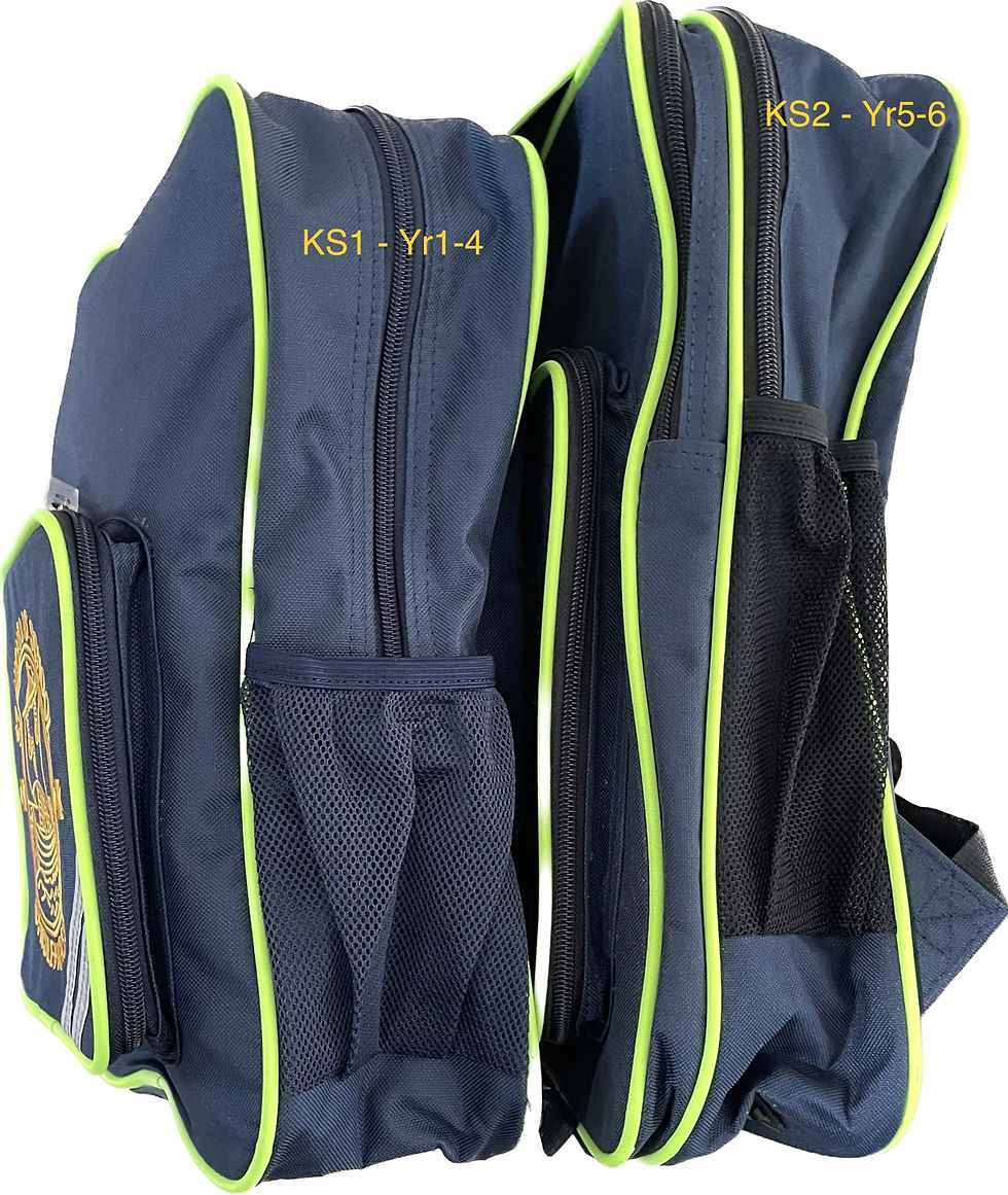 Thumbnail: HiViz School Bag: Be Bright / Be Seen / Be Safe !