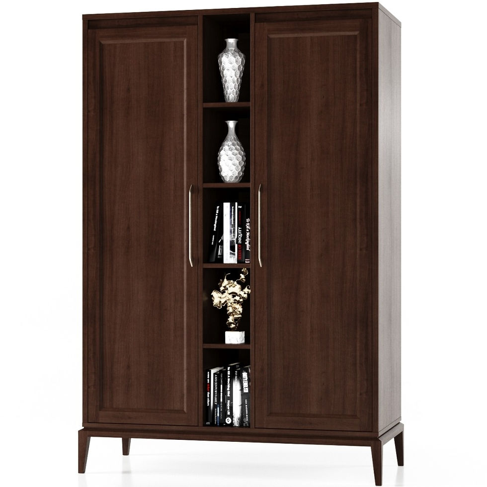 SYDNEY spinta 2jų durų su lentynomis