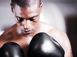 Boxer