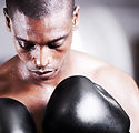 Boxer