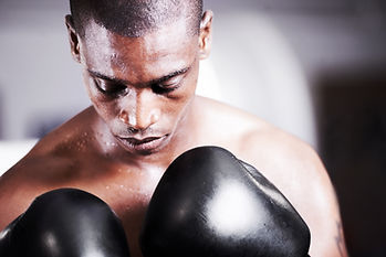 Boxer