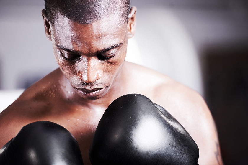 Boxer