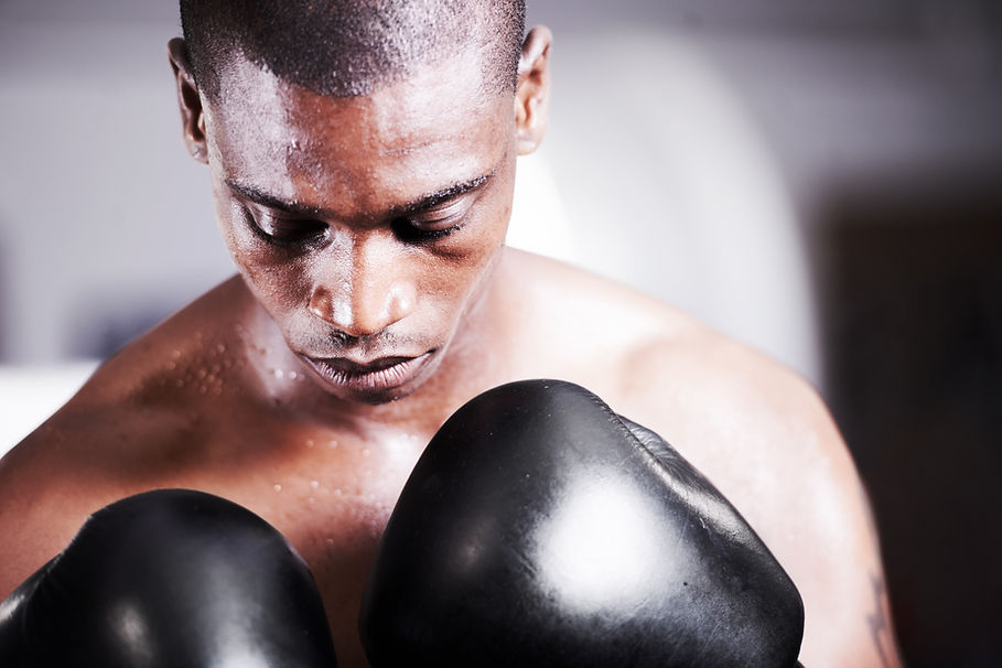 Boxer