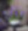 Geranium-wallichianum-Bloom-Me-Away-_37124_5_JPEG_Cm_43_64_RGB_300.jpeg