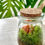 Thumbnail: SA027 | Glass Bottle Moss Micro Landscape Gift | Micro Landscape Kit