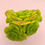 Thumbnail: SU062 | 百合莉莉 Aeonium LilyPad