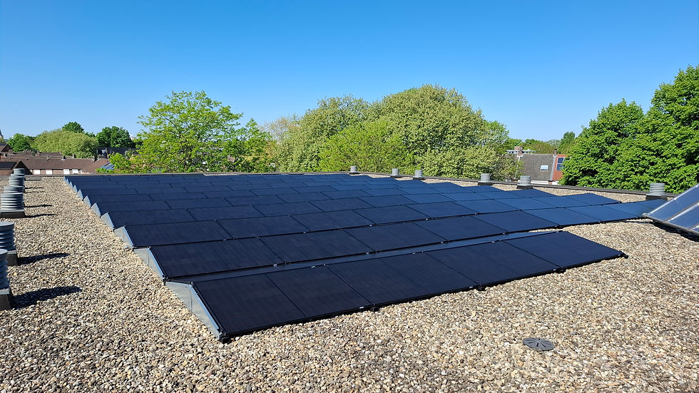 Zonnecentrale De Droomboom