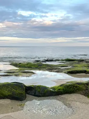 The Essence of Balance