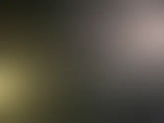 Moon is everywhere
