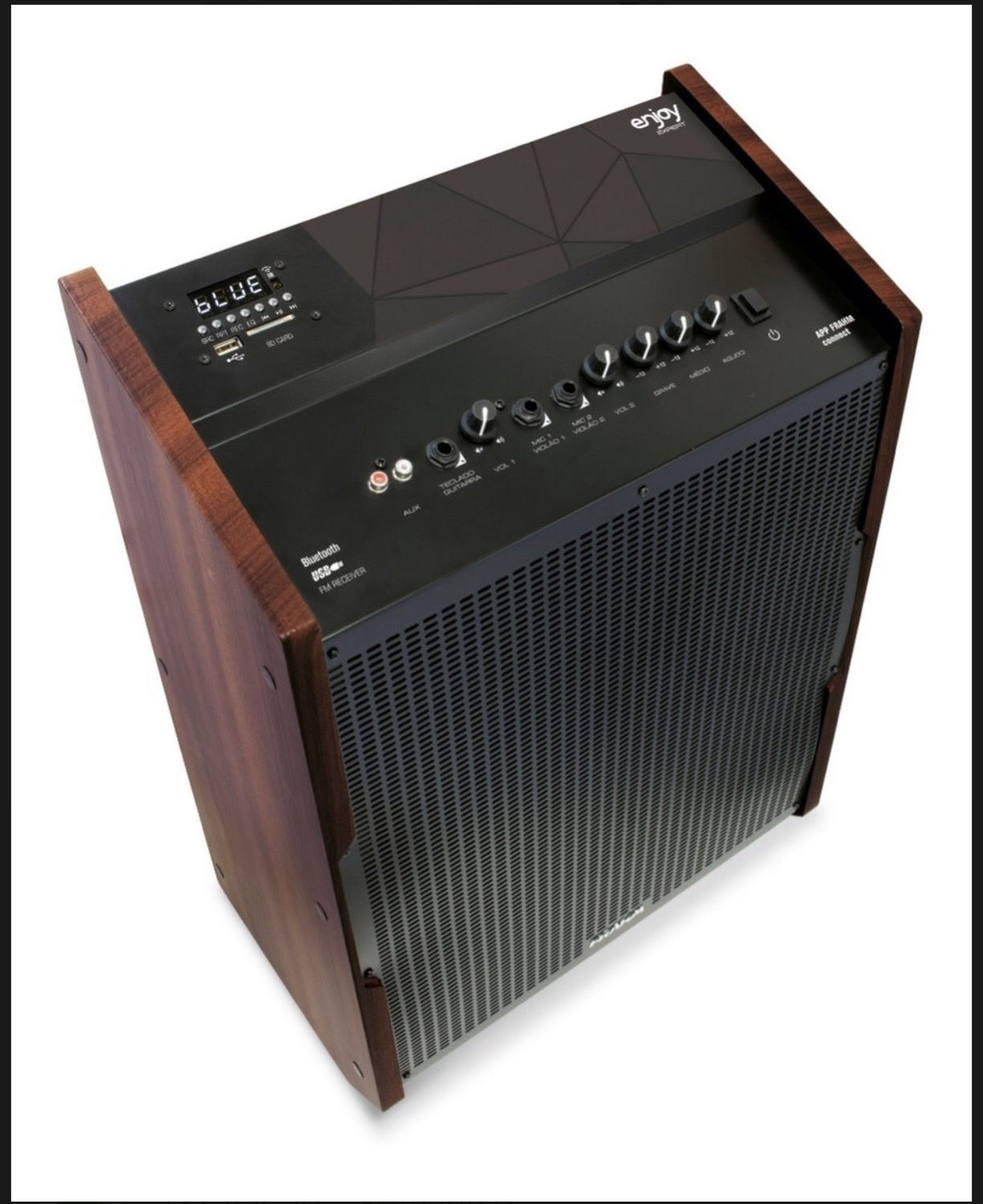 Caixa Frahm Enjoy Expert 200WRMS