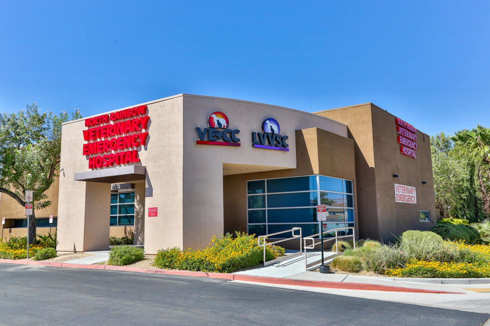 Veterinary Emergency Critical Care