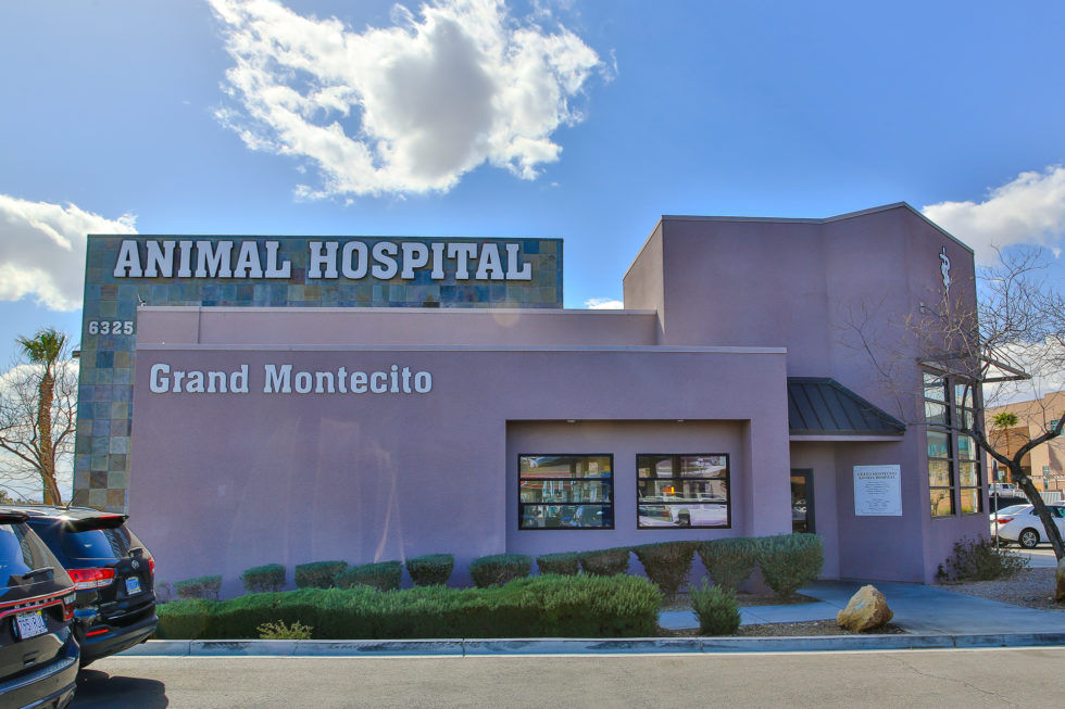 Grand Montecito Animal Hospital